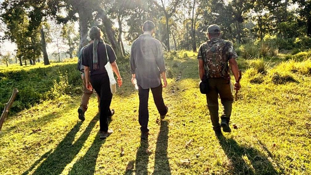 A proper walk in the jungle